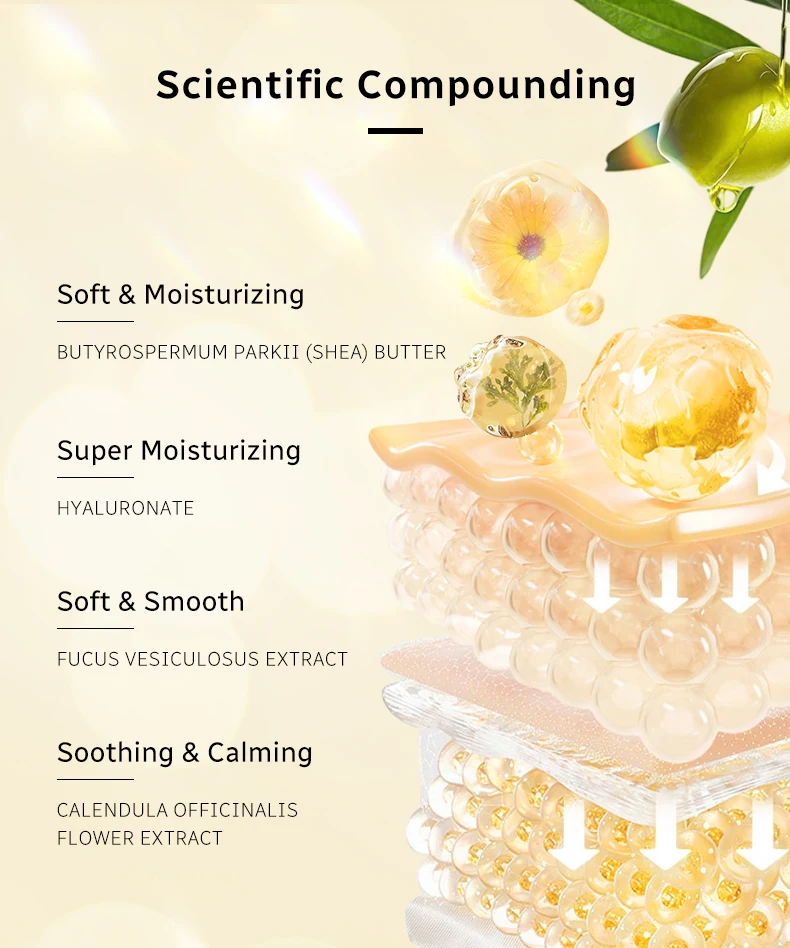 Westelite Serum Oil and Camellia Anti-agingCream Gift box packaging