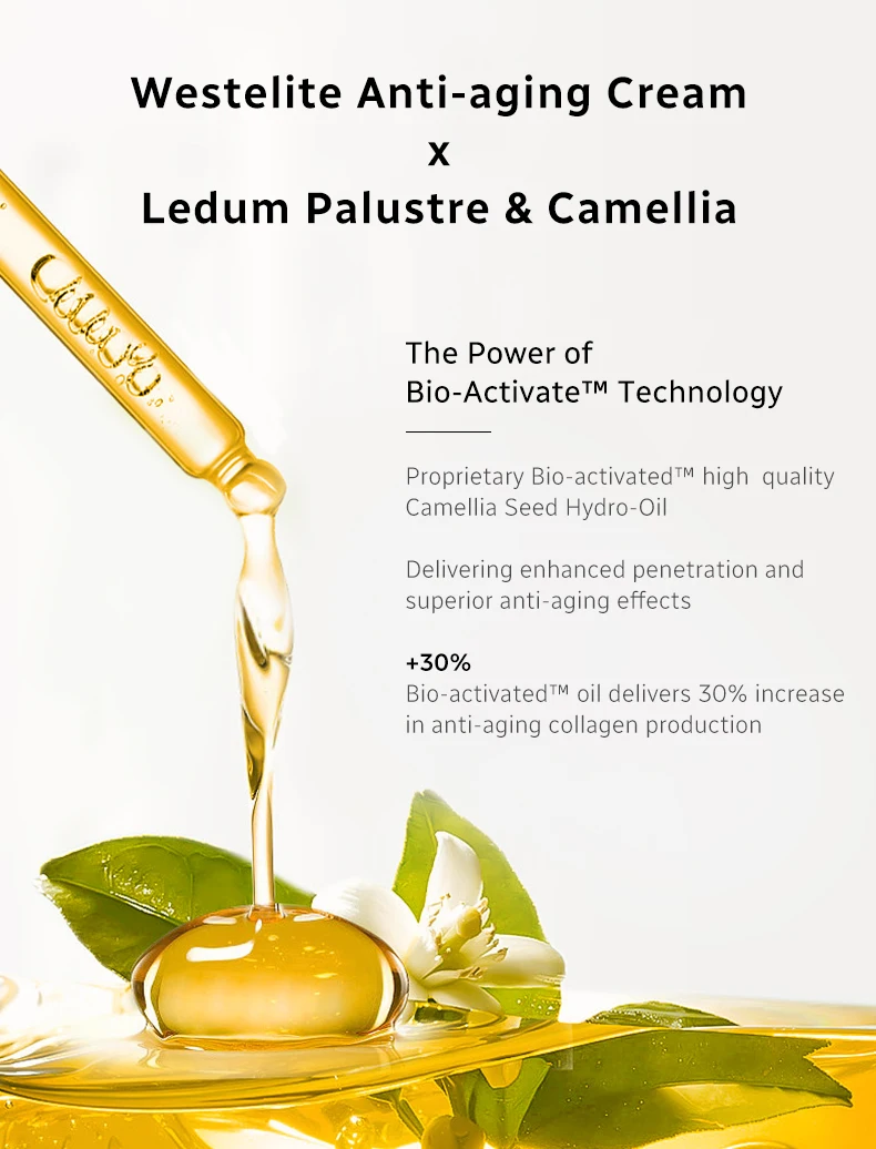 Westelite Serum Oil and Camellia Anti-agingCream Gift box packaging