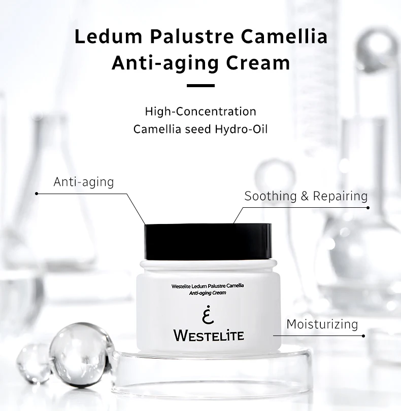 Westelite Serum Oil and Camellia Anti-agingCream Gift box packaging