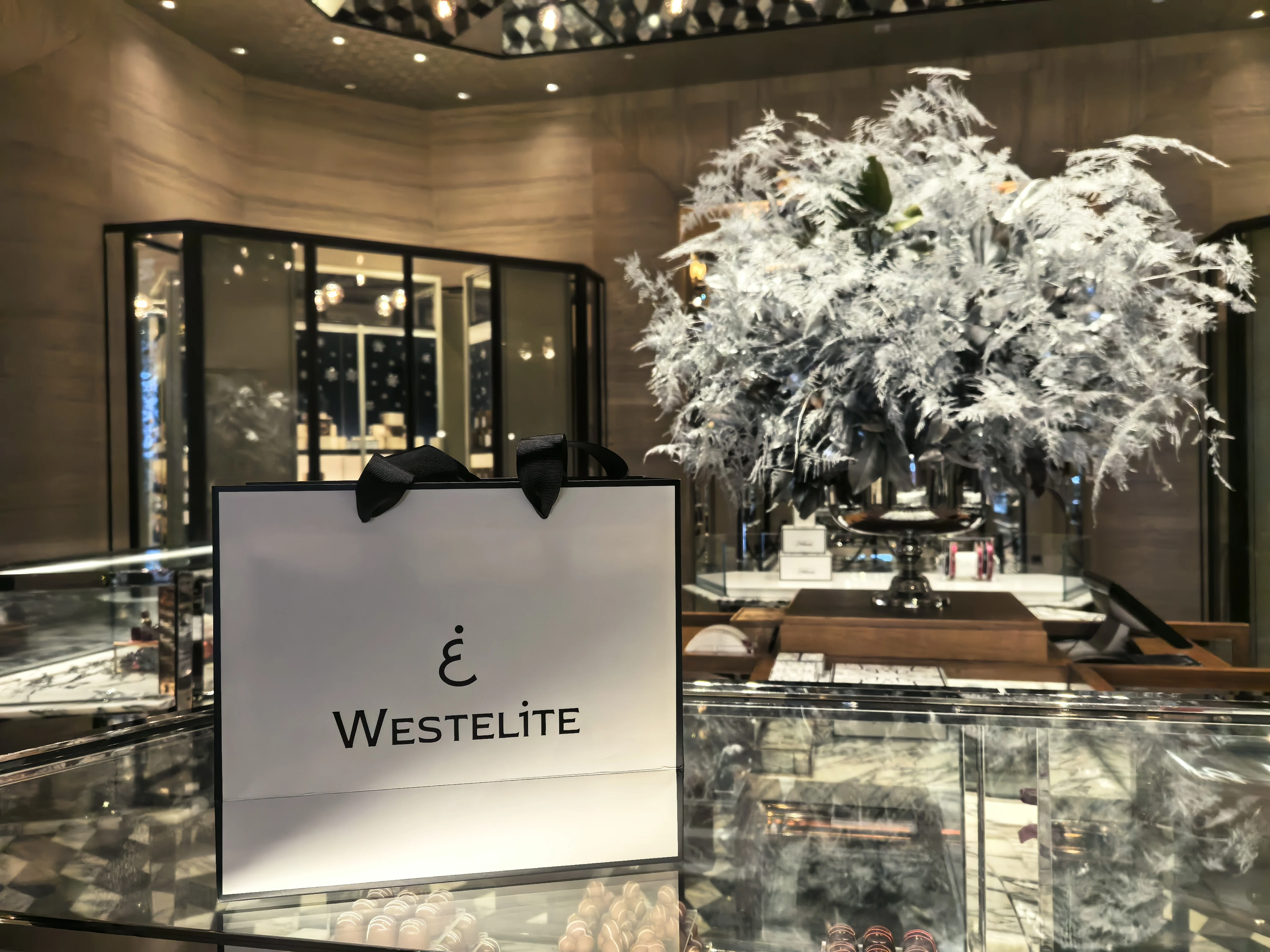 Westelite Serum Oil and Camellia Anti-agingCream Gift box packaging