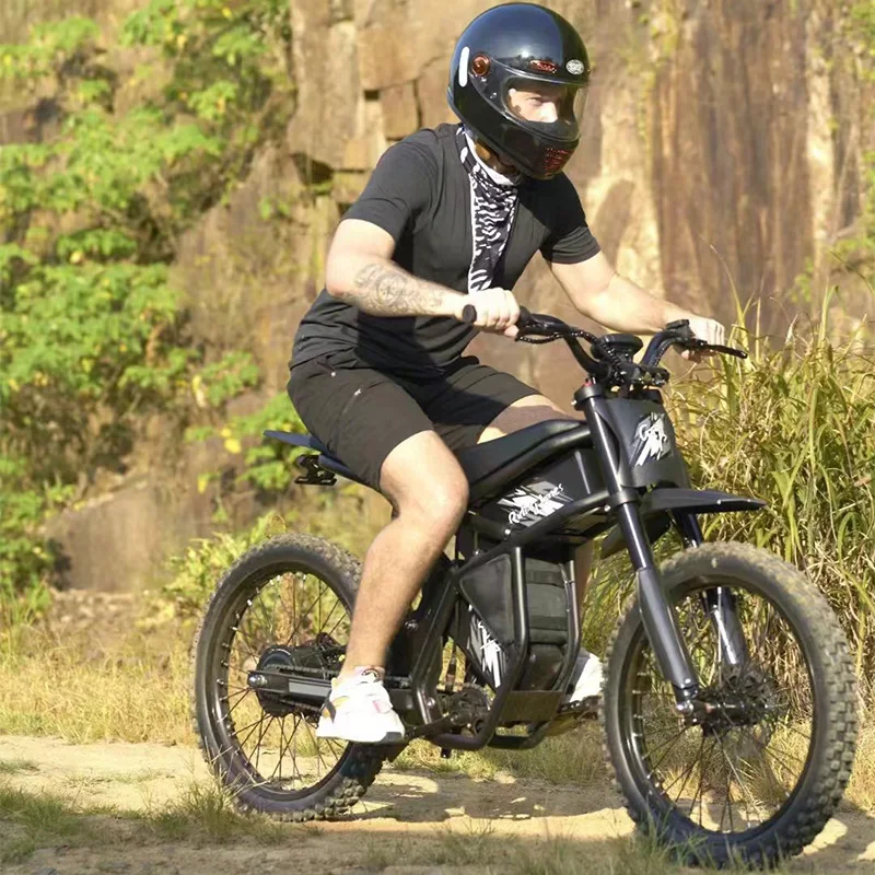 Wholesale 48V 2000W Fatbike Ebike Dirt Mountain Fat Tire Bicycle Electric Bike Double Disc Brake E Bike Full Suspension