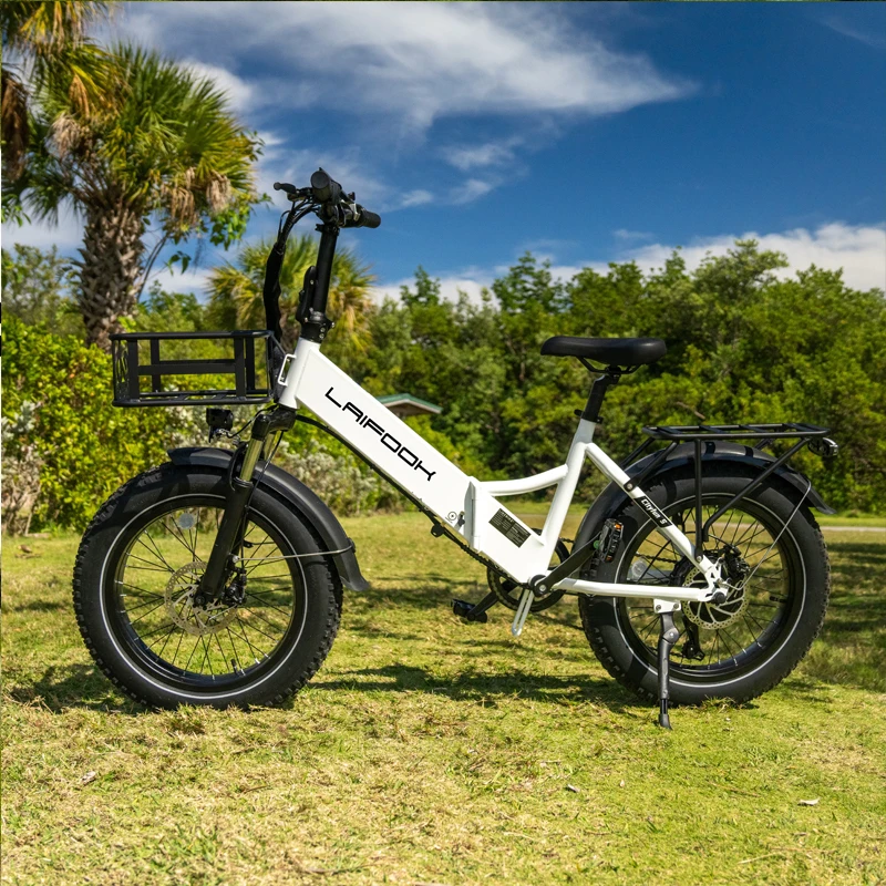 White Green 750w Electric Bike Hidden Battery Fat Tyre Cheapest Electric Dirt Bike Full Suspension Electric Bike