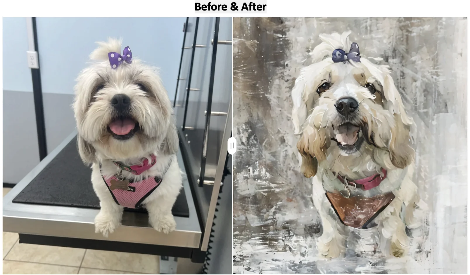 Custom Monet Pet Portrait Phone Case for iPhone Samsung Waterproof Shockproof PC Pets Printing Mobile Phone Protector